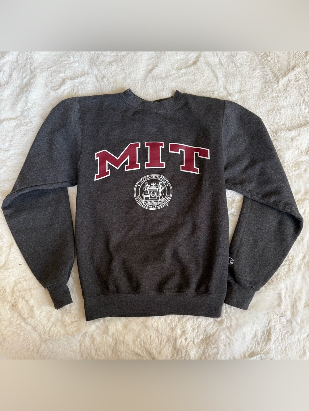 Vintage Style Champion MIT Crewneck Sweatshirt Charcoal Gray Size XS